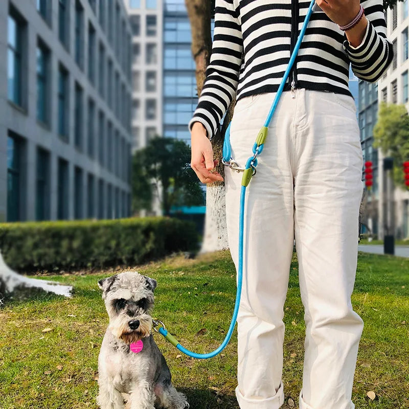 Reflective Nylon Leashes Pet Dogs Chain