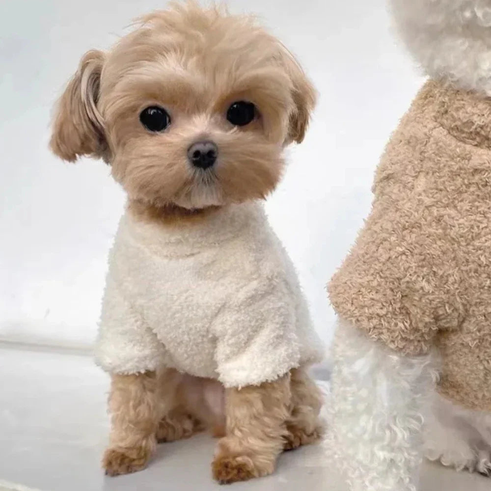 Dog Sweater for Small Dogs